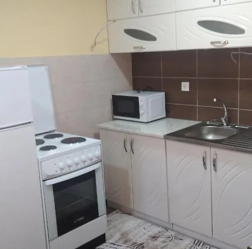 Apartament Nidzo